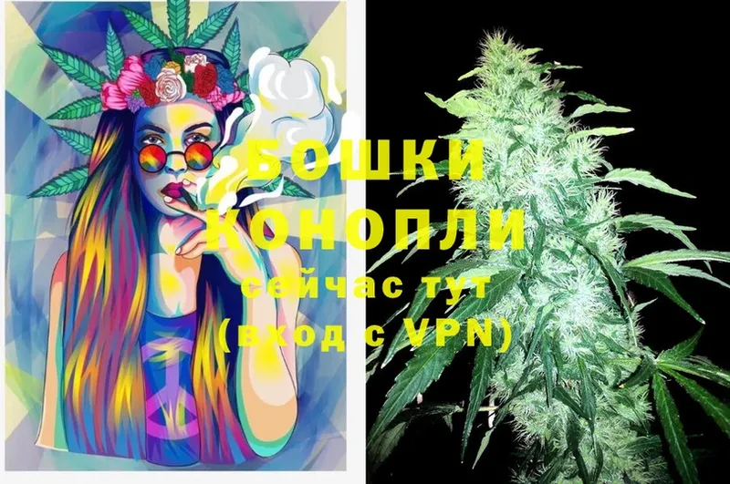 Канабис THC 21%  Дигора 